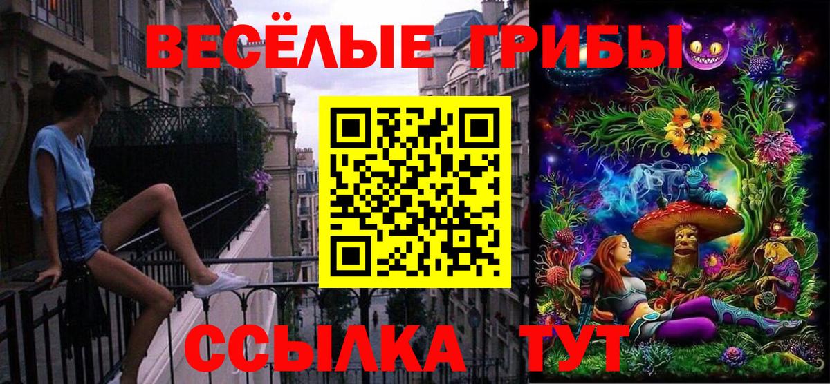 Галлюциногенные грибы GOLDEN TEACHER Мценск
