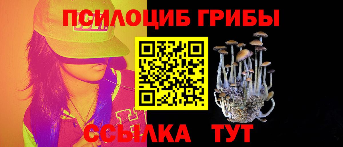 Мценск  Галлюциногенные грибы ЛСД  Вход с VPN 